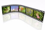 Image Slideshows